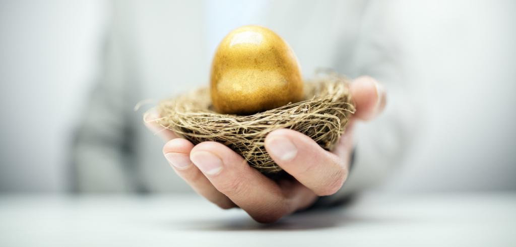 Nest egg Nest egg