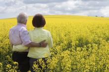 Retired couple in flower field